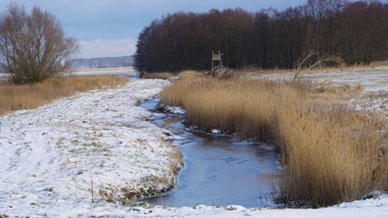 Fischerhus In Krummin - Nur Fuer Urlauber Luaran gambar